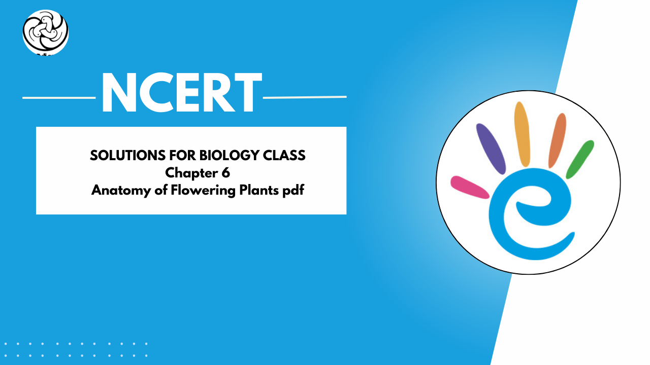 NCERT Solutions Class 11 Biology - Chapter 6 Anatomy of Flowering Plants pdf